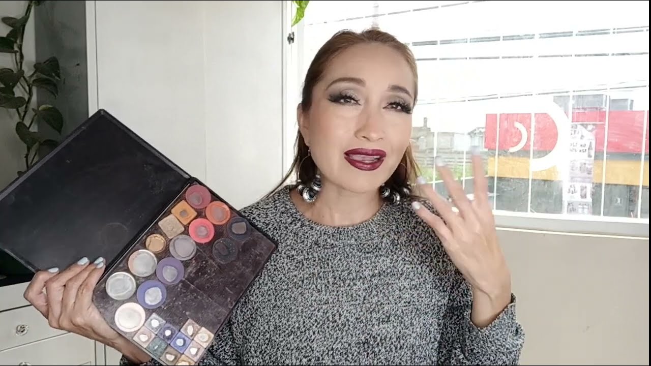PROJECT PAN PALETAS DE MAQUILLAJE / SI SE PUEDE/