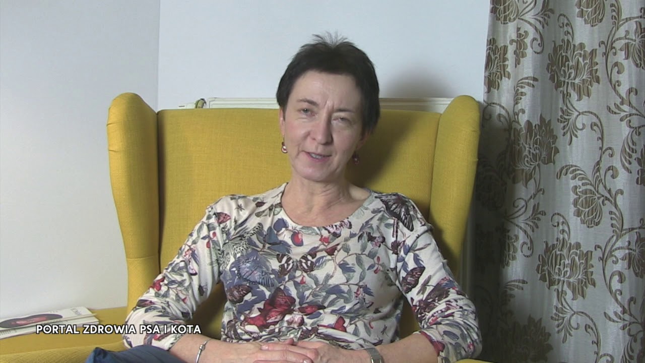 Wyjazd z kotem -  zabierać go w podróż czy zostawić  w domu? Antonina Kondrasiuk - zoobehawiorysta