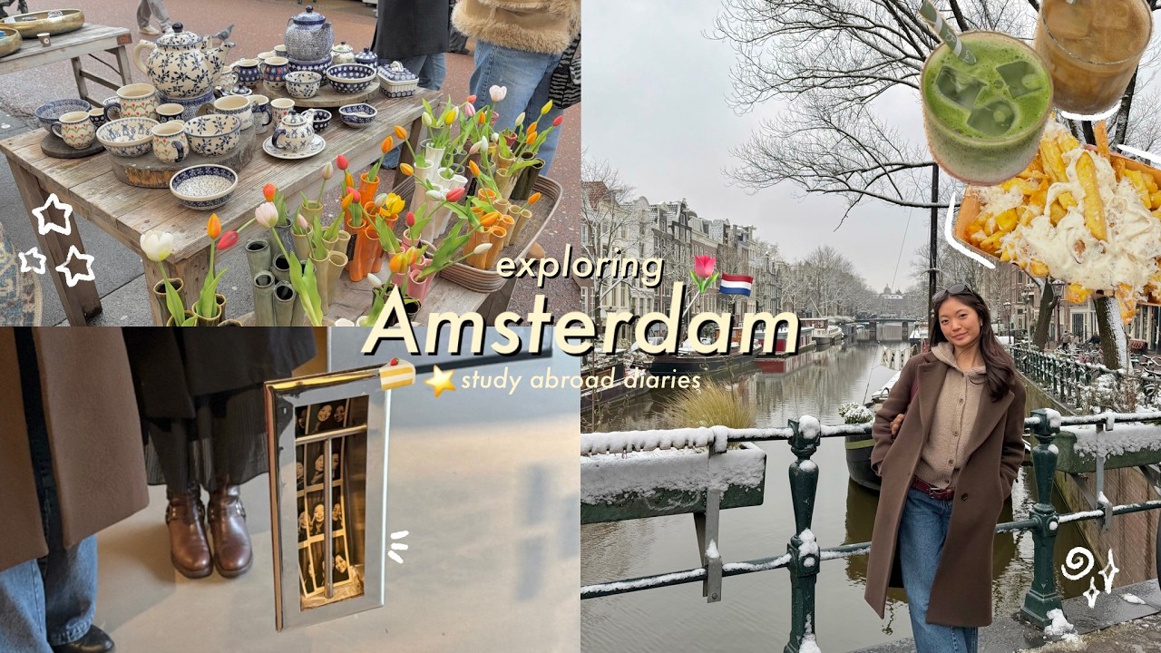 diml учится за границей в Амстердаме 🌟 | Euro Diaries, эпизод 2