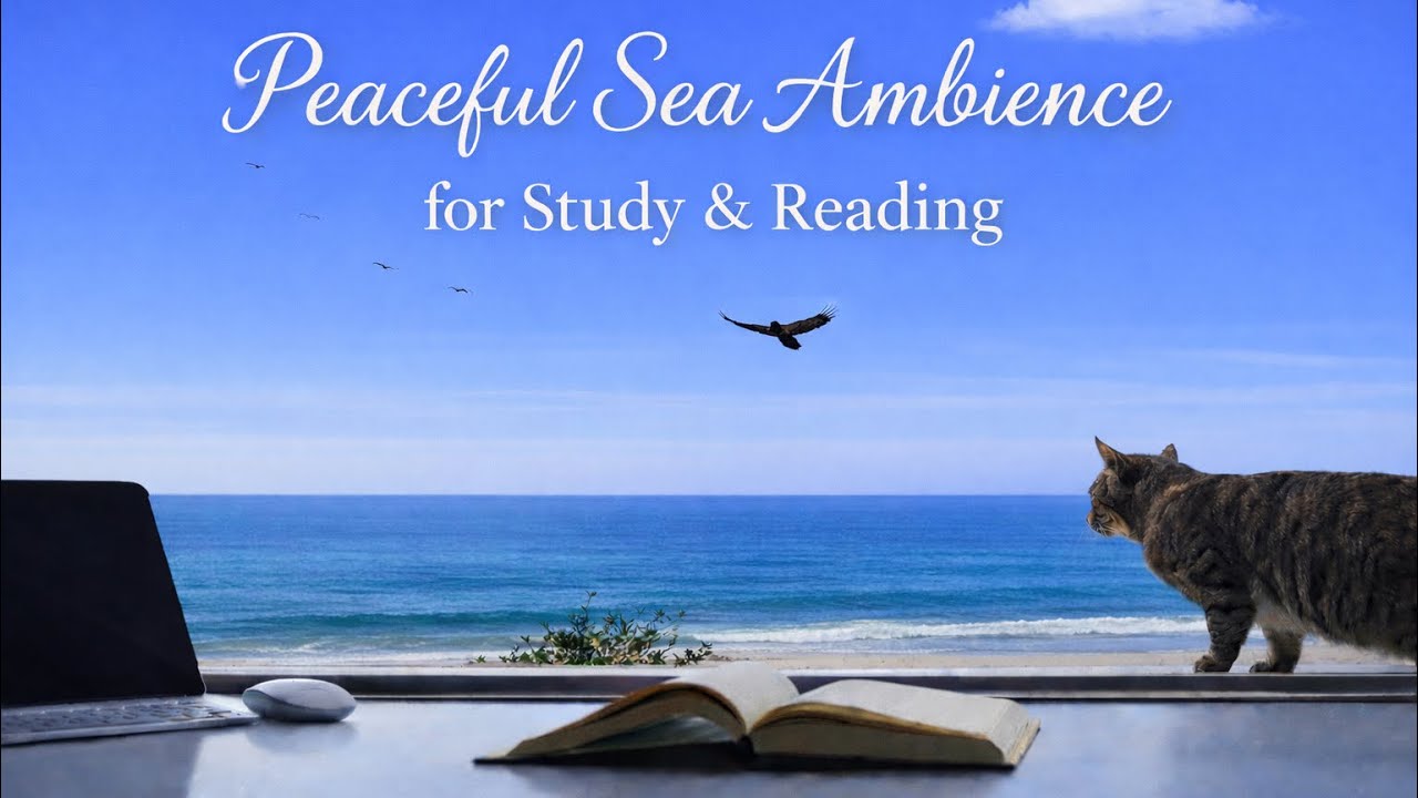 Peaceful Sea Atmosphere for Reading & Focus ✨ | Soft     Music & Natural Sounds | ✨2 Hours | DSS ✨