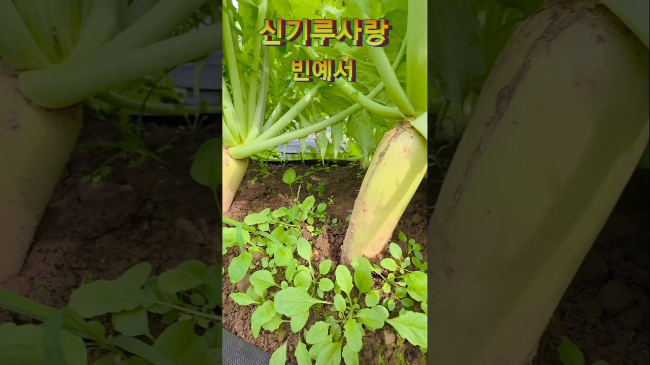 #빈예서