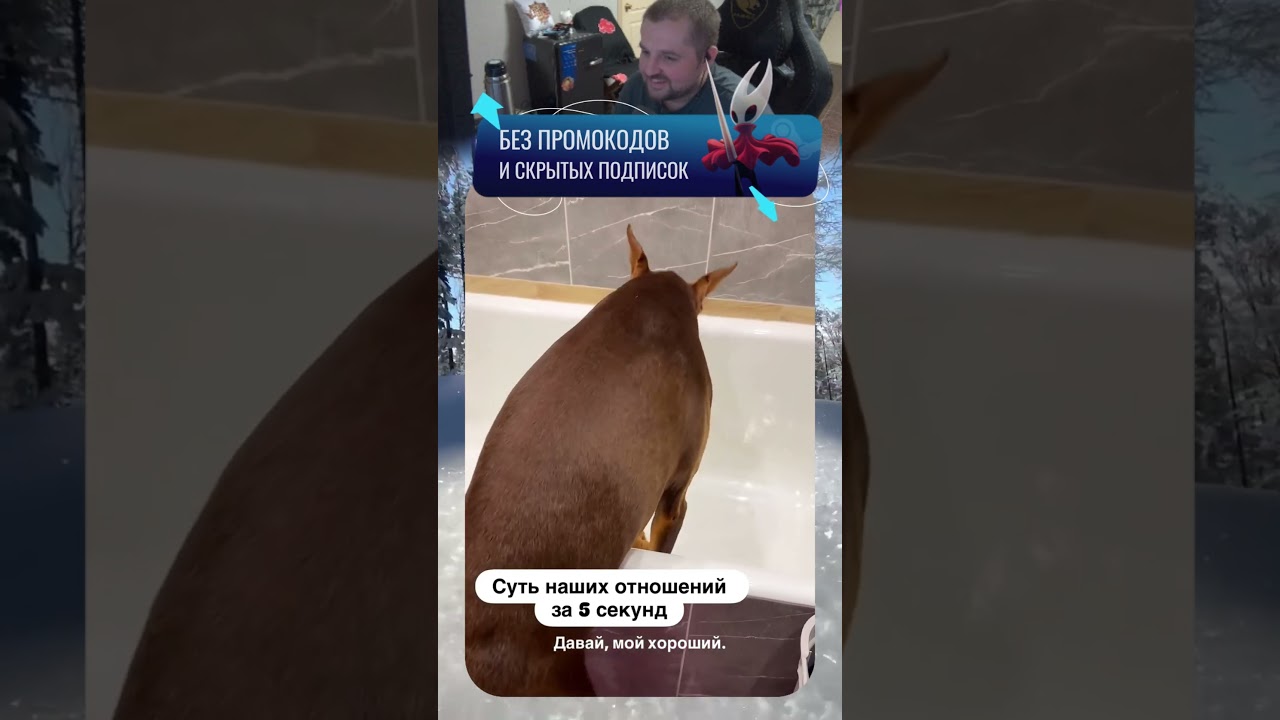 Нормально со мной разговаривай да😁🐶| twitch.tv/neonpsh - розыгрыши и турниры каждый месяц!