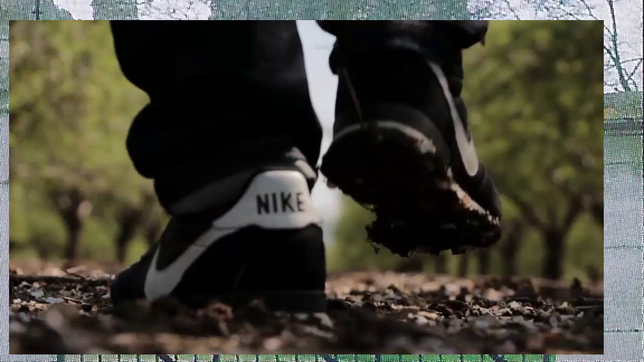 MISSING BORDER 12. Shadow Promenade