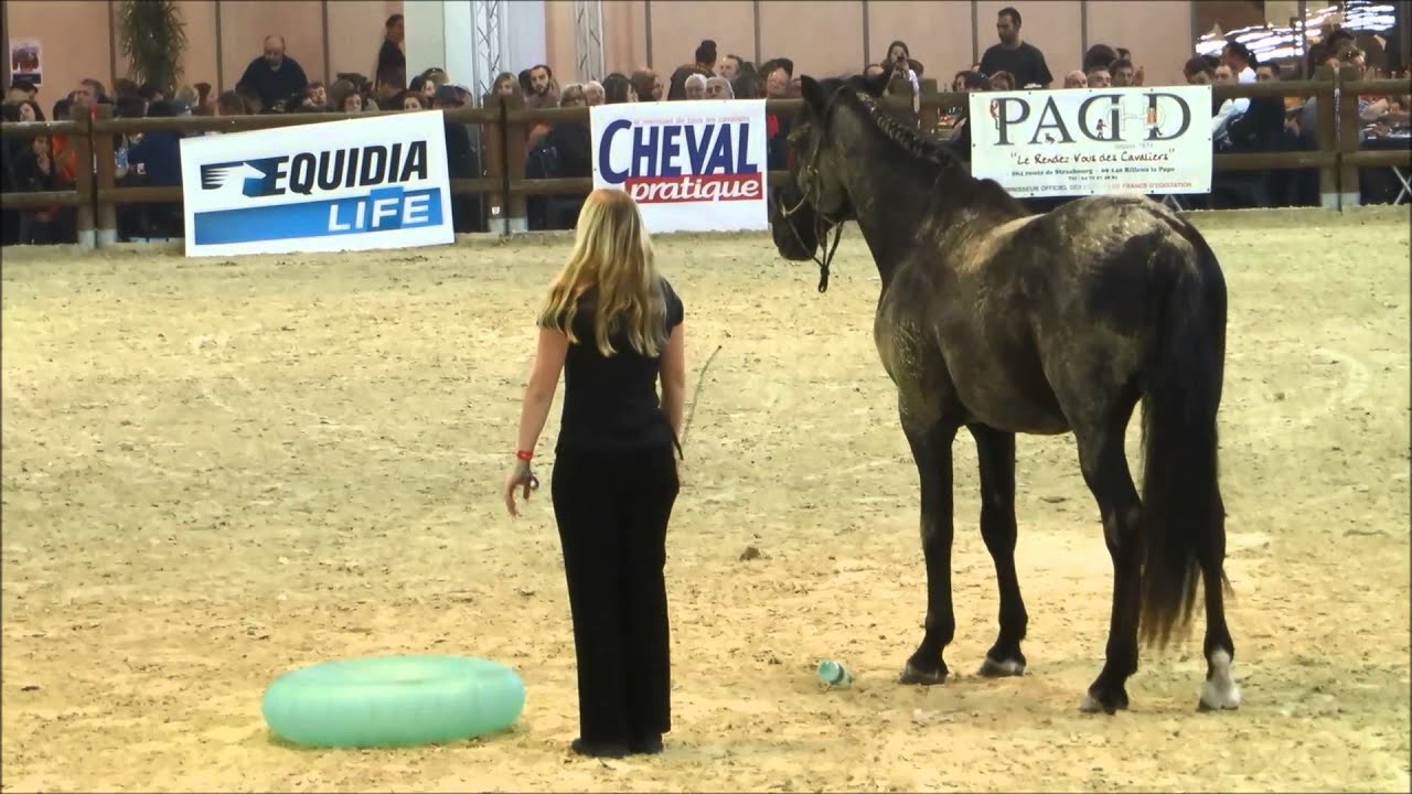 Akanto Equita 2014