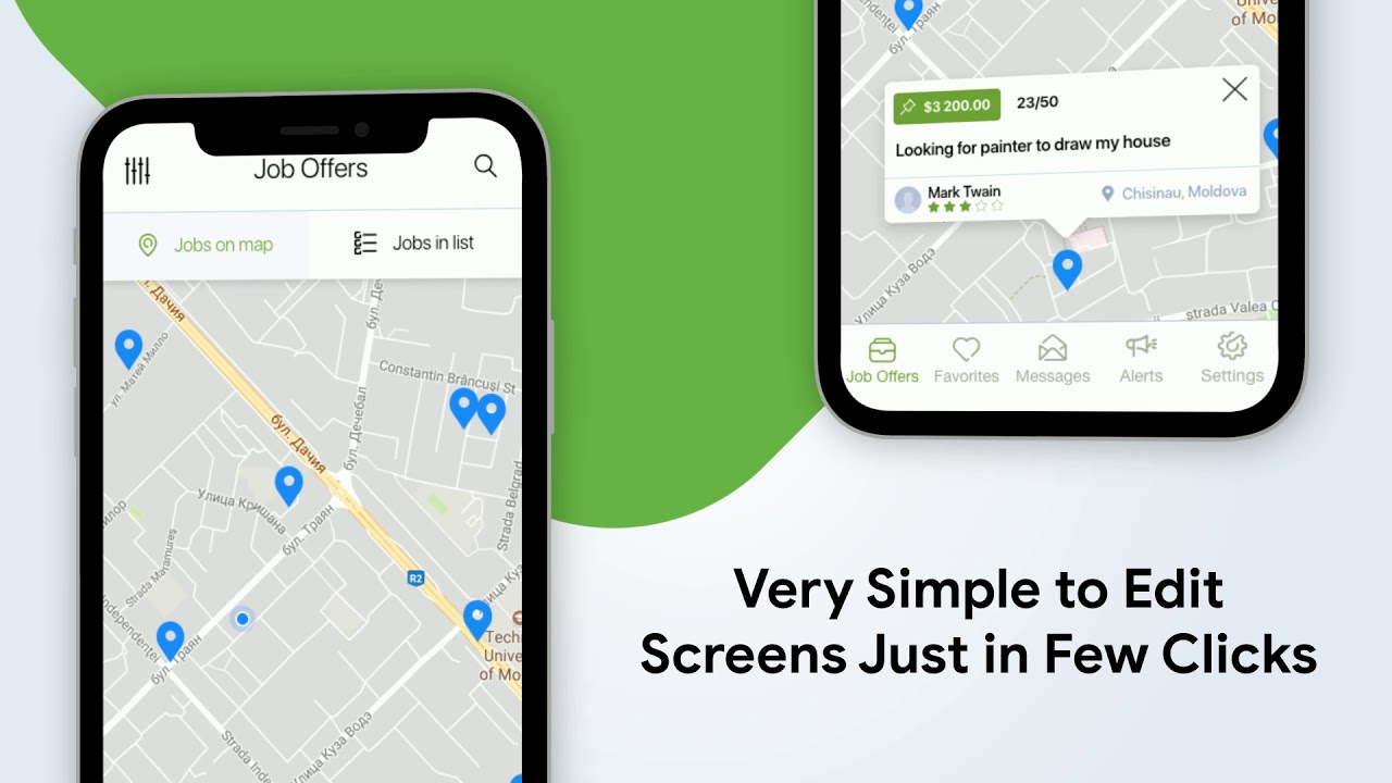 The Mobile Application - Presentation Template