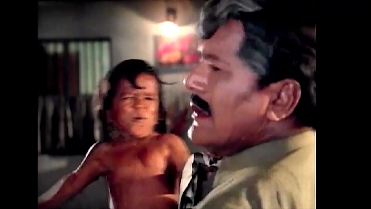 EXP TV: POMEGRANATES & BOLLYWEIRD | Austin Film Society | Sep 11, 2019