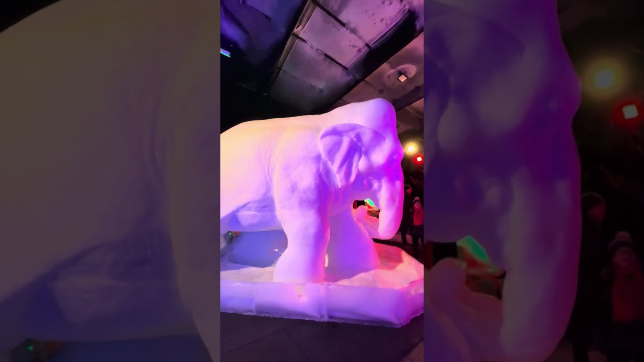 ASMR ICE🧊 sculpture tour 