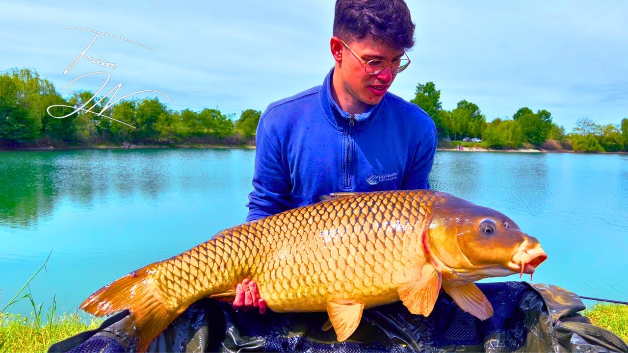 Alla Ricerca della Regina-Carpfishing Video