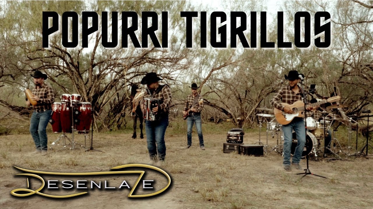 DESENLAZE - Popurrí Tigrillos (Despacito, Isabel y Tápame)