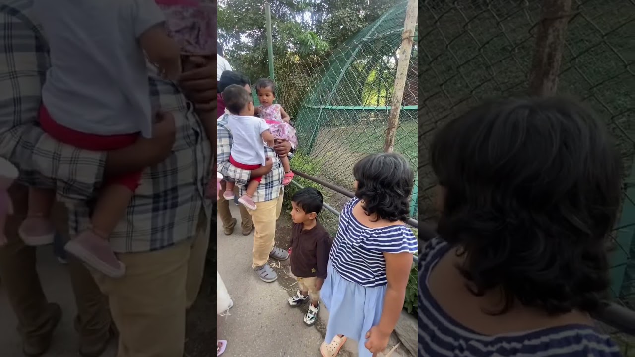 Nehru Zoo Park! Hyderabad