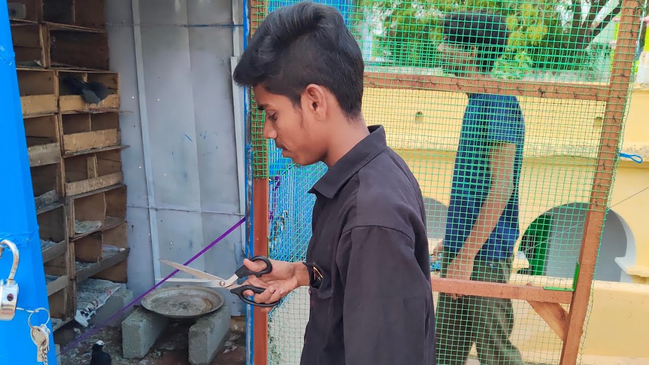 ✨புறாக்🕊️ கூண்டு அமைக்கப்பட்டது🤗 || pigeons cage set up❣️