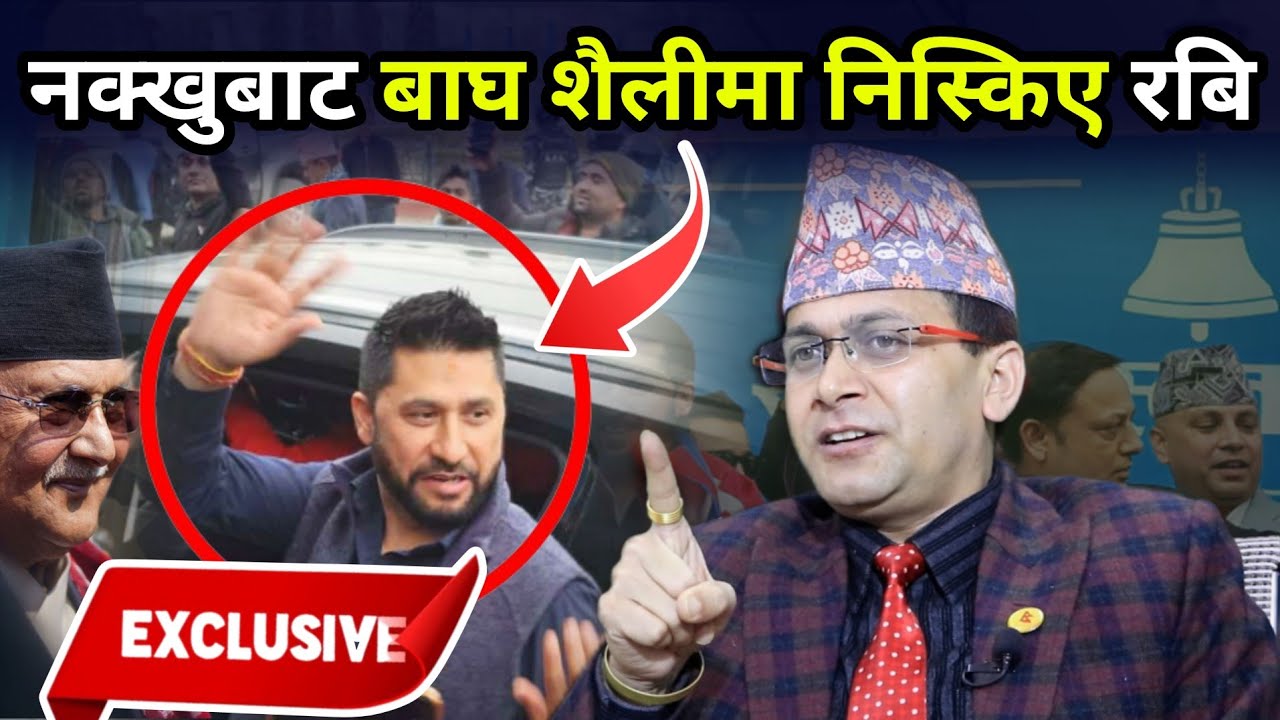 रबिलाई तुरुन्त छोड्ने आदेश, बाघ शैलीमा निस्किदै, राजनीतिक प्रतिशोध लिनेको छाला काड्ने तयारी Rabi 