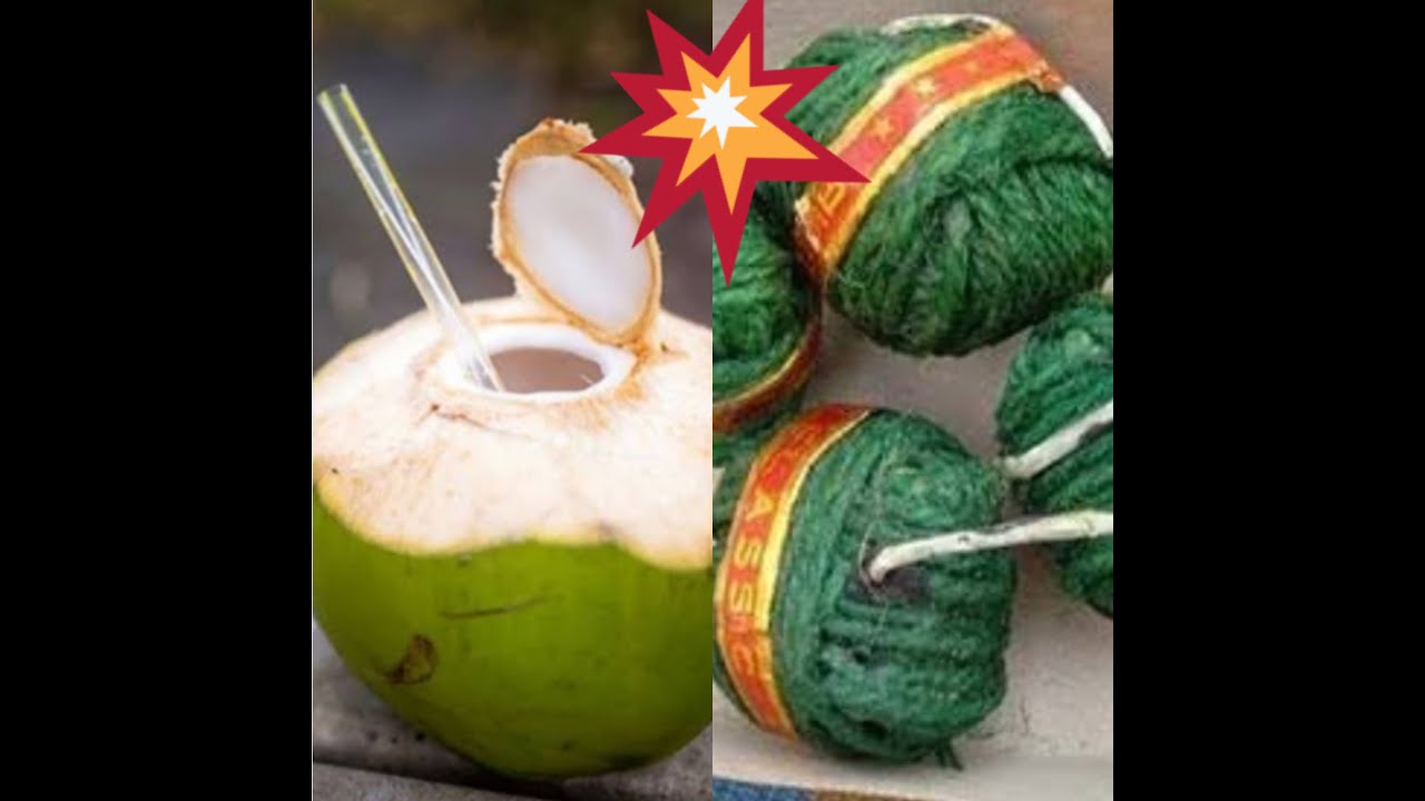 SUTLI VS COCONUT💥 | GREEN VIP vs COCONUT | ✨