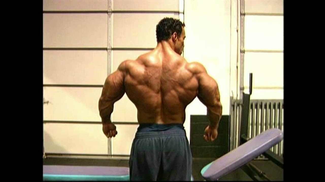 Pastel Ghost-embrace x Kevin Levrone (is this my purpose)