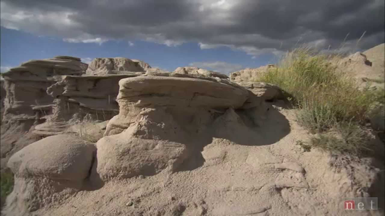 Toadstool | Nebraska Stories