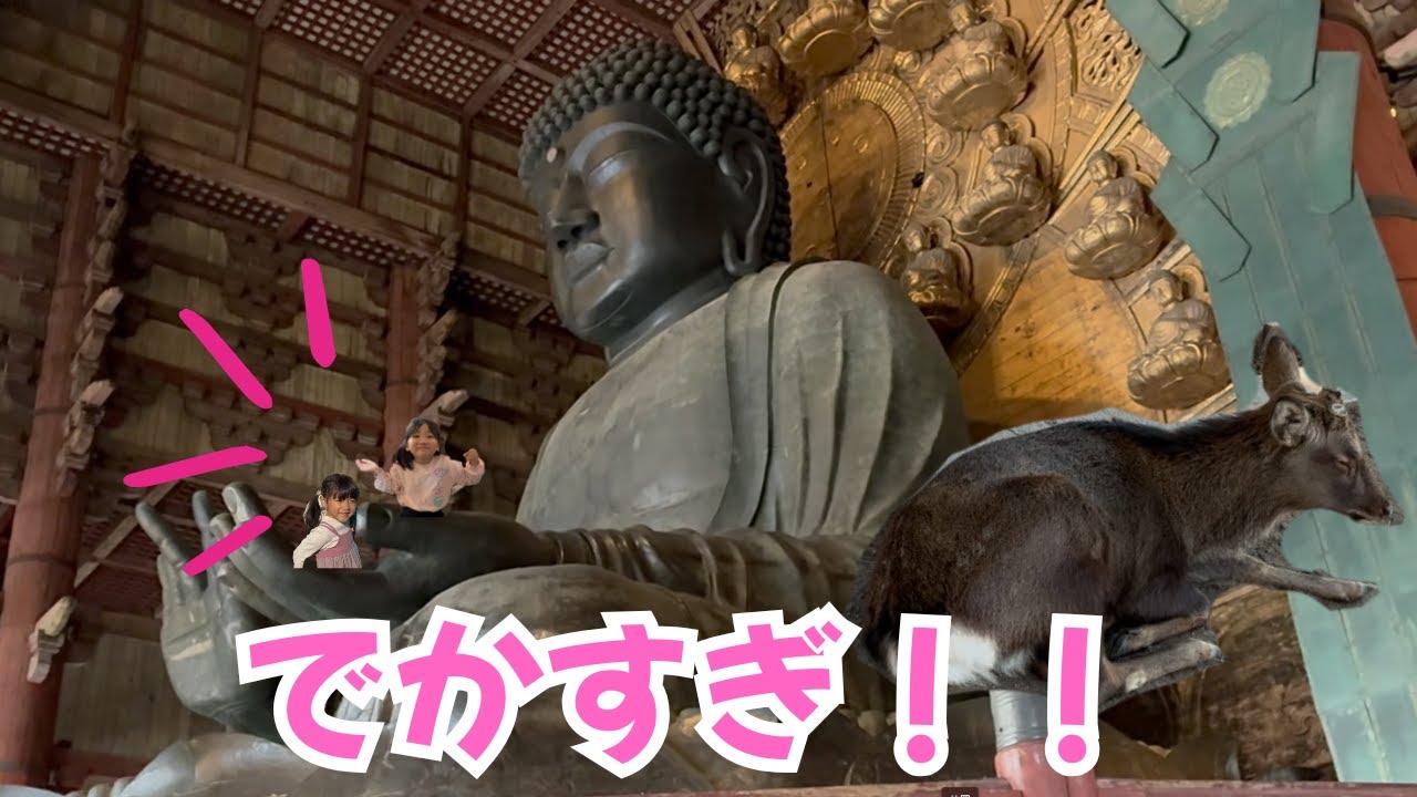 デカすぎて無言…初めて見た奈良の大仏に子ども達が絶句😳