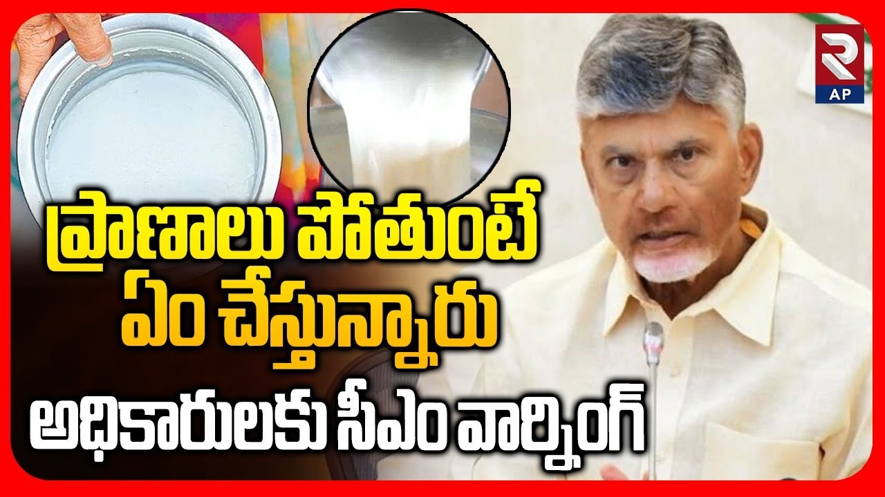 CM Chandrababu Warning To Officials Over Adulterated Milk Tragedy I RTV AP