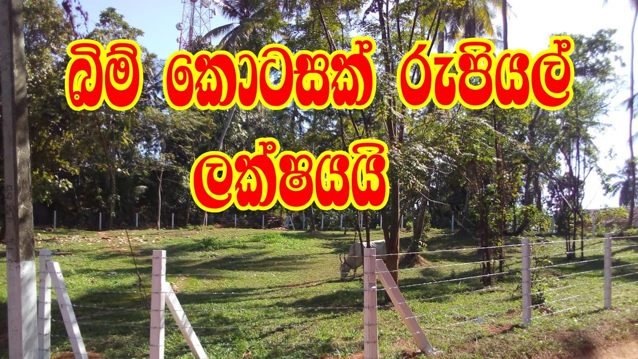ඔන්න අලුත් ඉඩමක් ගෙනවා|kalu malli | aduwata idam| sri lanka land