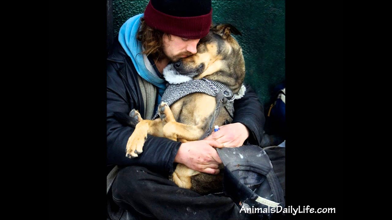 Man's Best Friend ~ Faithful Dog &hearts; Awesome Slideshow