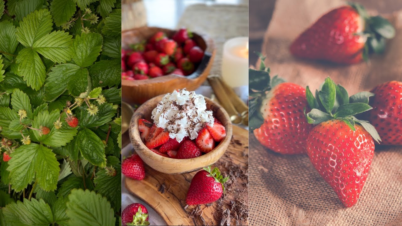 Low Calorie Dessert // Strawberries and Creme // Plant Based