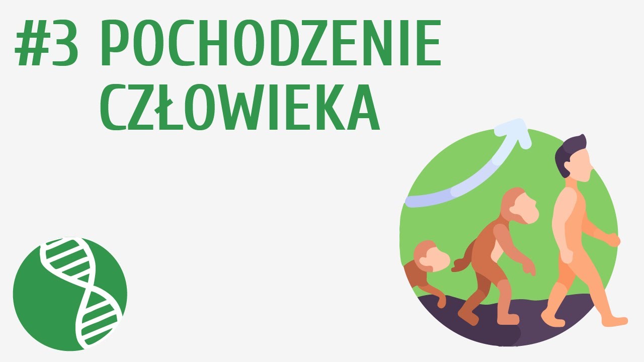 Pochodzenie człowieka #3 [ Ewolucja życia ]