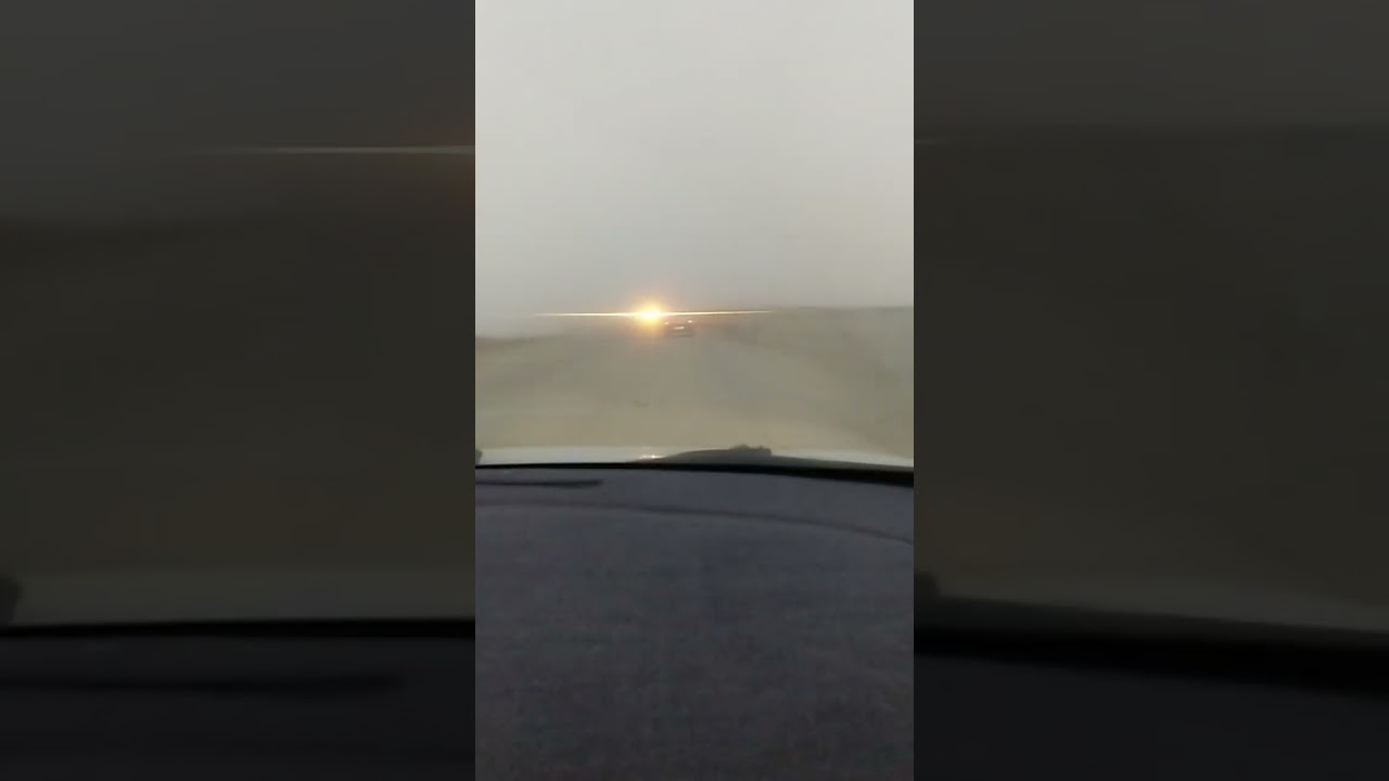 17 февраля 2026 г.