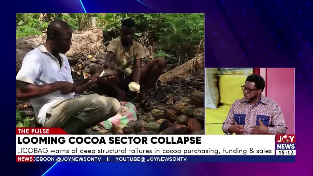 COCOBOD dismisses claims of misuse of cocoa farmers' funds | The Pulse (6-2-26)