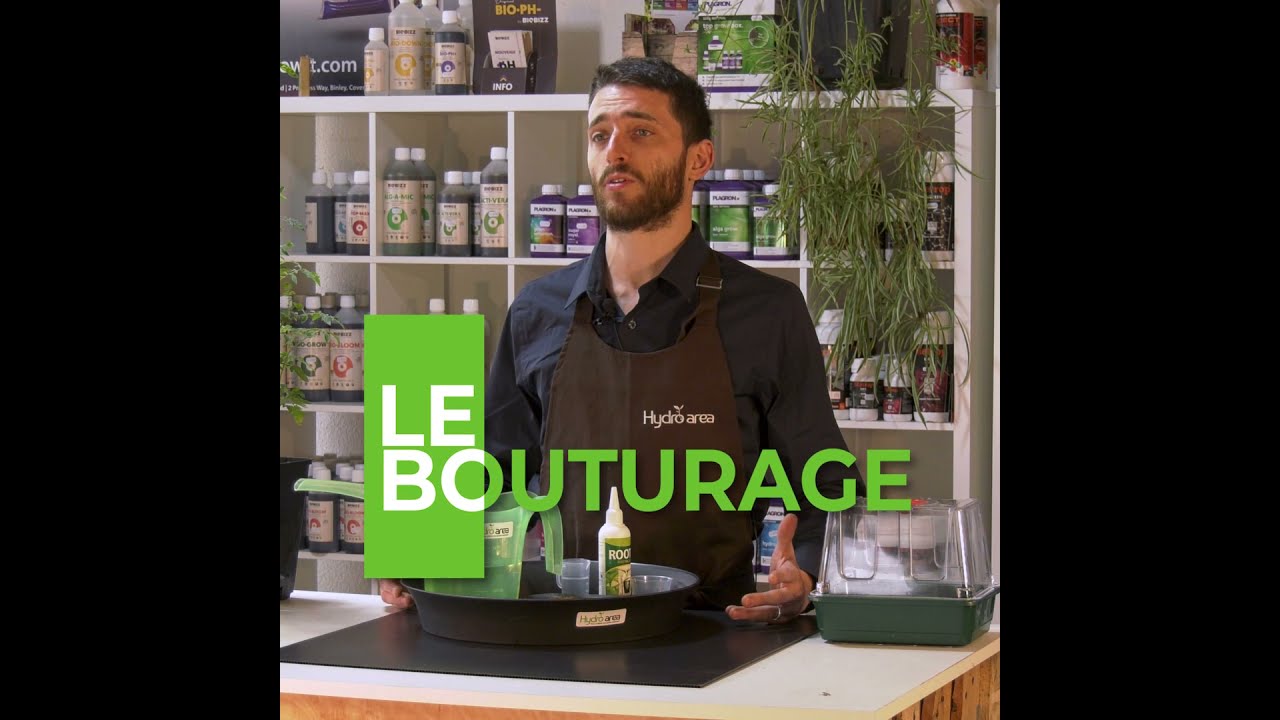 Le bouturage en 4 &eacute;tapes - Les Tutos Hydro Area