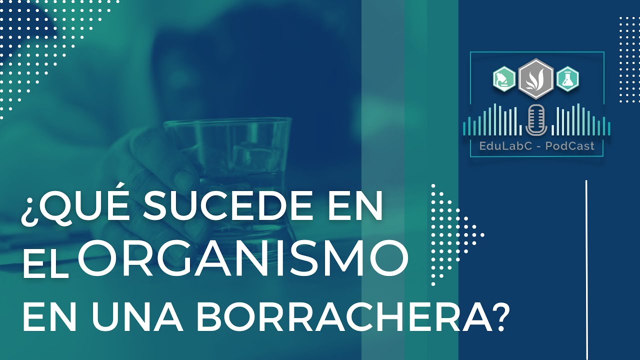 Ep5 ¿Qué sucede en el organismo en una borrachera? | DATOS INTERESANTES 🎙️ Podcast EduLabC