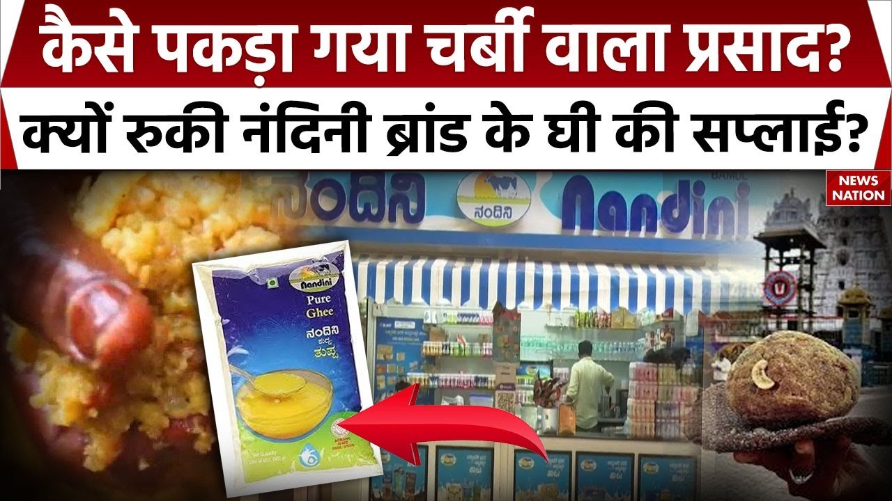 Tirupati Prasadam Row: तिरुपति में कैसे पकड़ा गया गड़बड़ घोटाला? लड्डू में मिलावट का जिम्मेदार कौन?