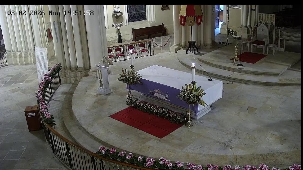 Transmisión Eucaristía Basílica de Lourdes   2024