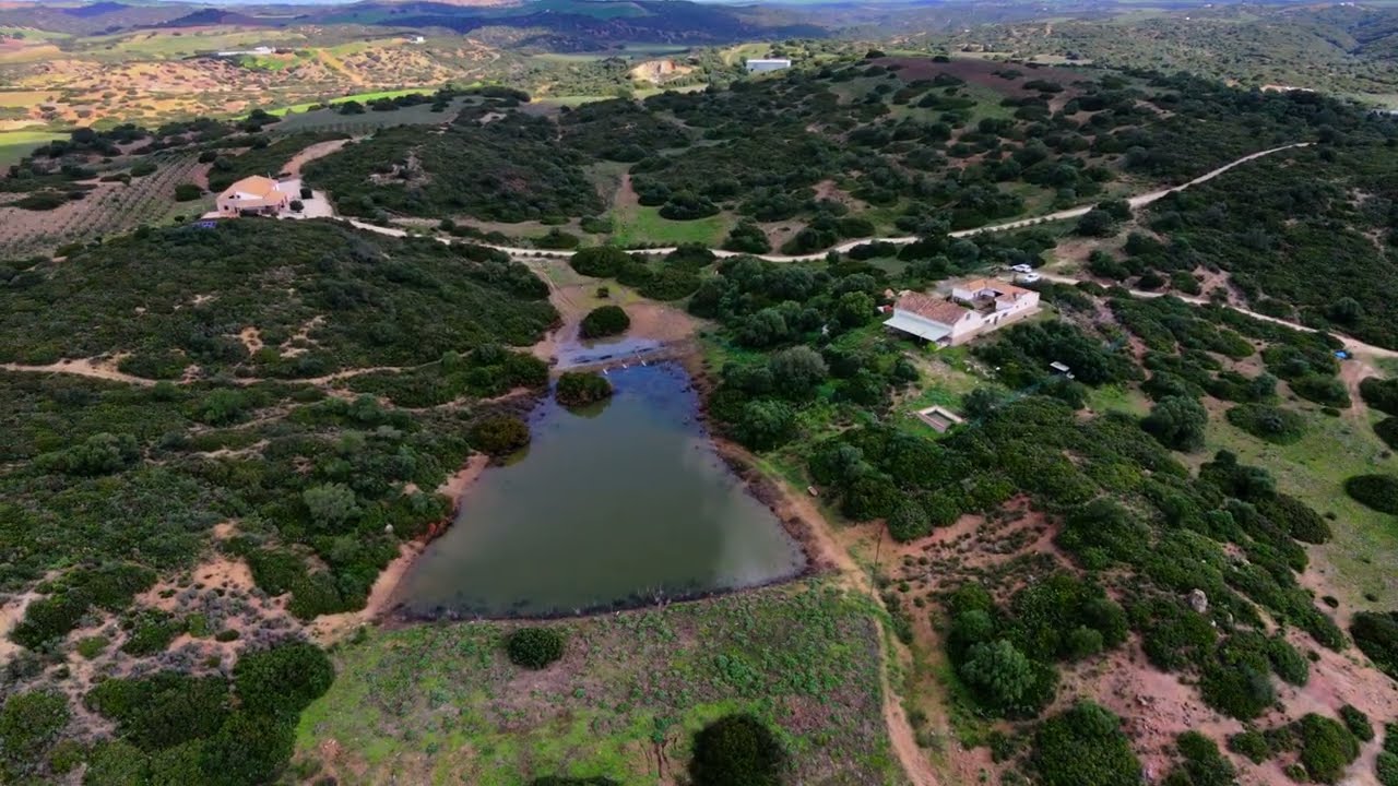 CAMPOS DEL BERRUECO: Un viaje aéreo entre Chiclana y Medina | DJI Neo