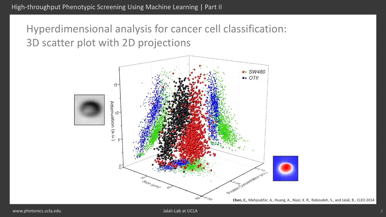 High-throughput Phenotypic Screening Using Machine Learning | Part II