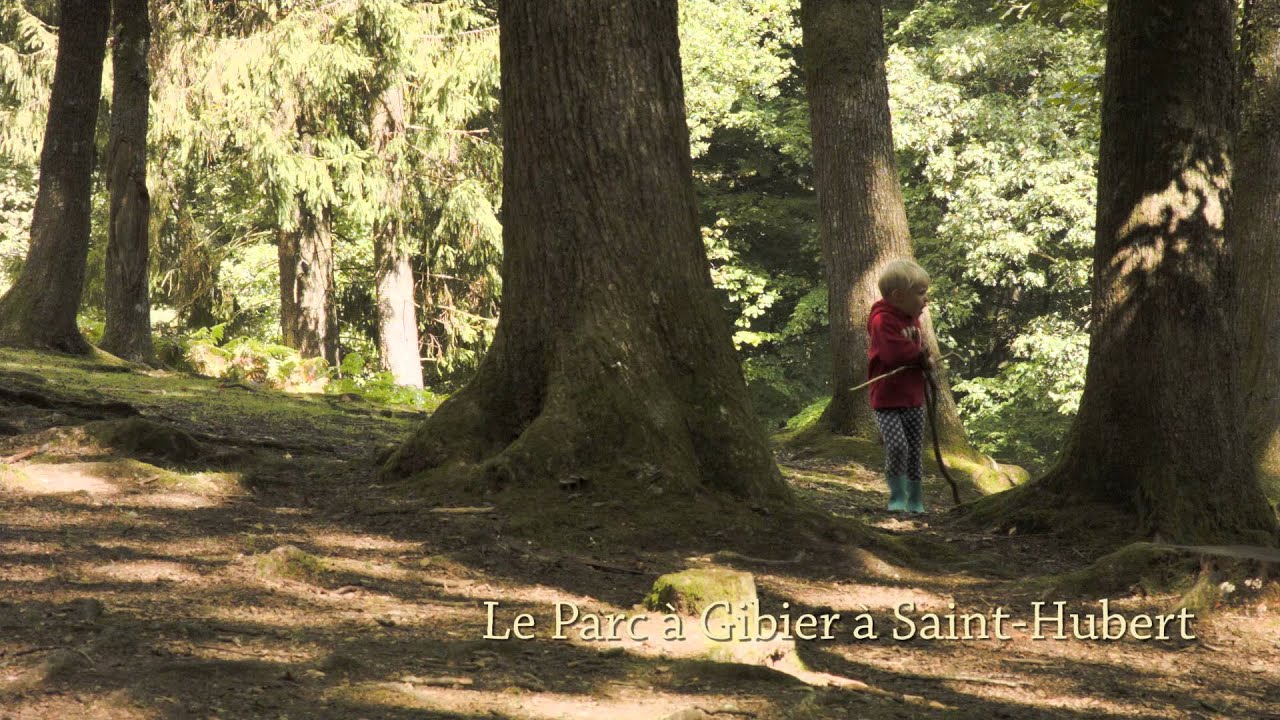 Saint Hubert
