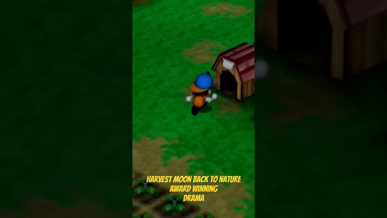 When the Wild Dogs come! Harvest Moon Back to Nature #HarvestMoon #btn #gaming