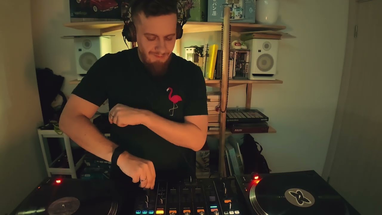 BRZV - Vinyl live House - Techno set