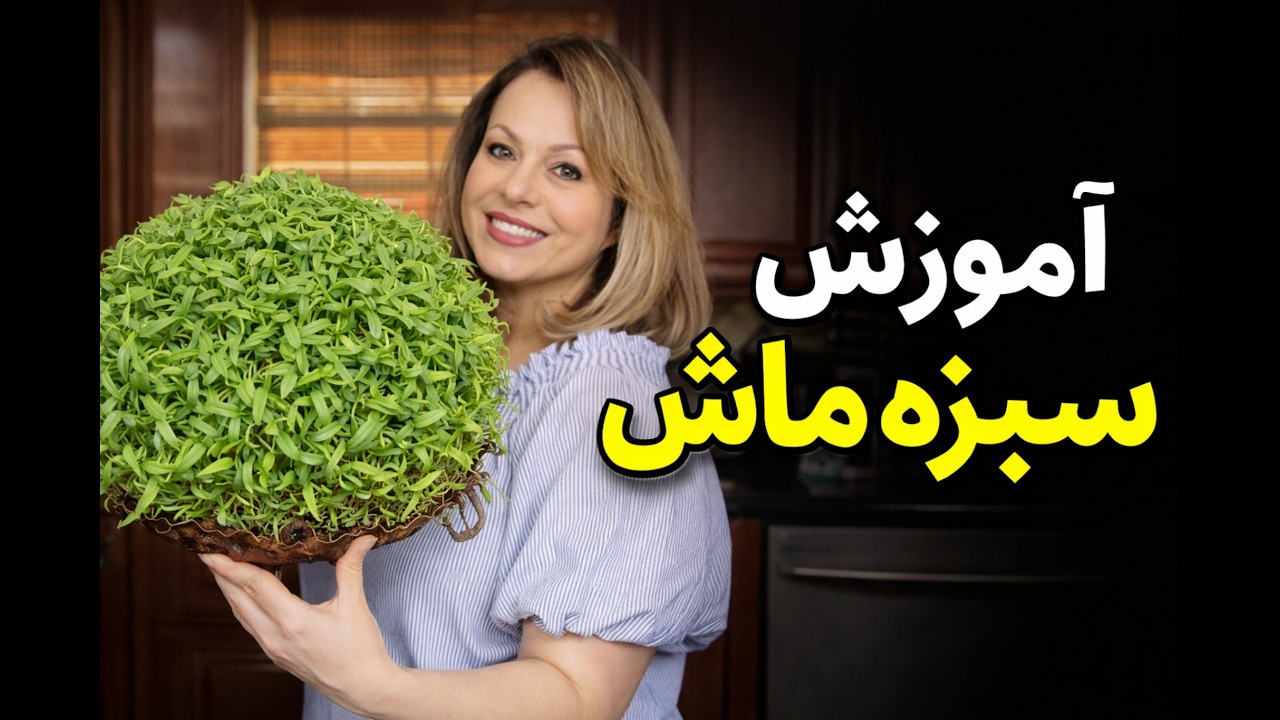 سبزه ماش Sabzeh Mash