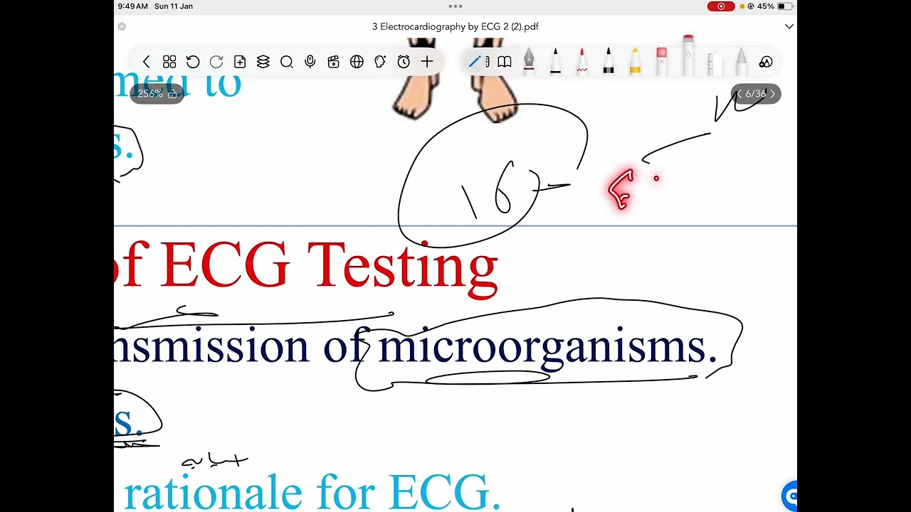 Part 1 ECG