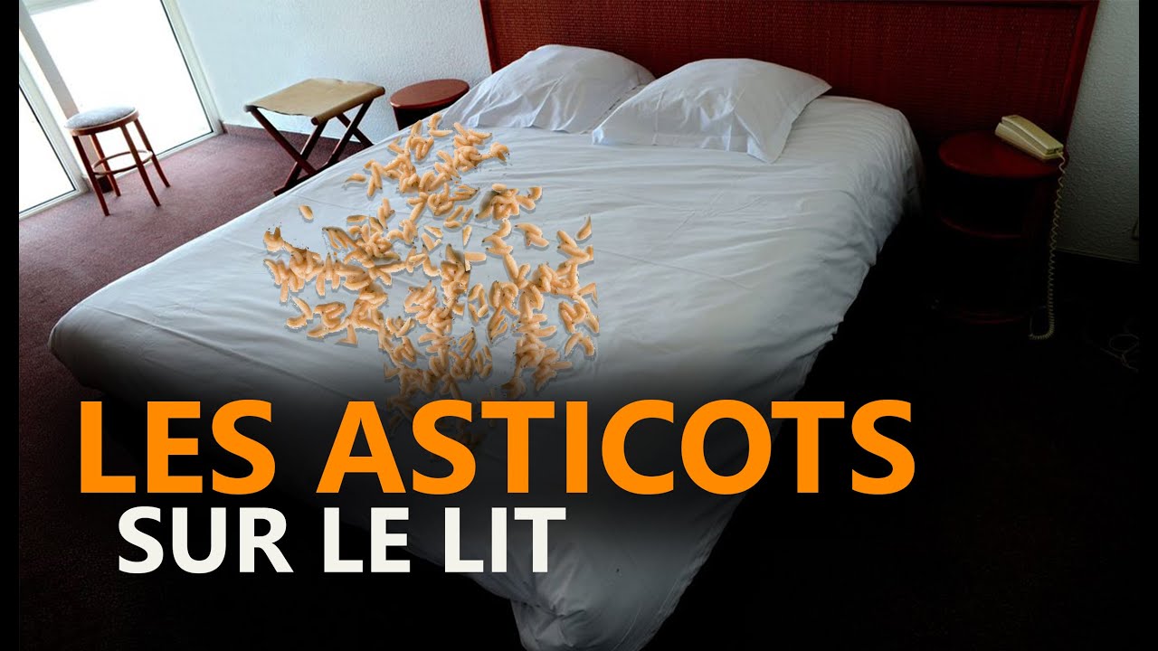 LES ASTICOTS SUR LE LIT ... HISTOIRE MYSTIQUE - DMG TV