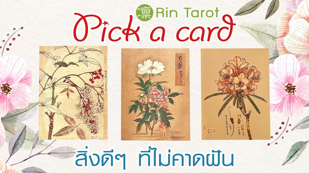 Pick a Card สิ่งดีๆที่ไม่คาดฝัน ในช่วง 12 เดือนข้างหน้า Timeless ไม่จำกัดเวลา