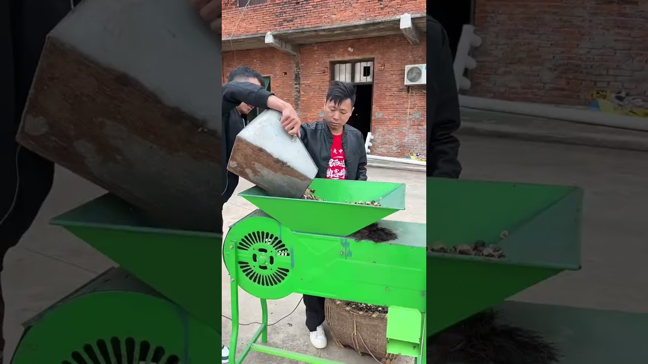 (我们终其一生所追求的可能就在眼前)茶子香里，秋日正暖。最踏实的美好，不过是一家人在一起，把简单的日子过成诗。#我的乡村生活 #农村美食记录生活 #原创视频 #农村生活 #乡村新农人 @vivo #