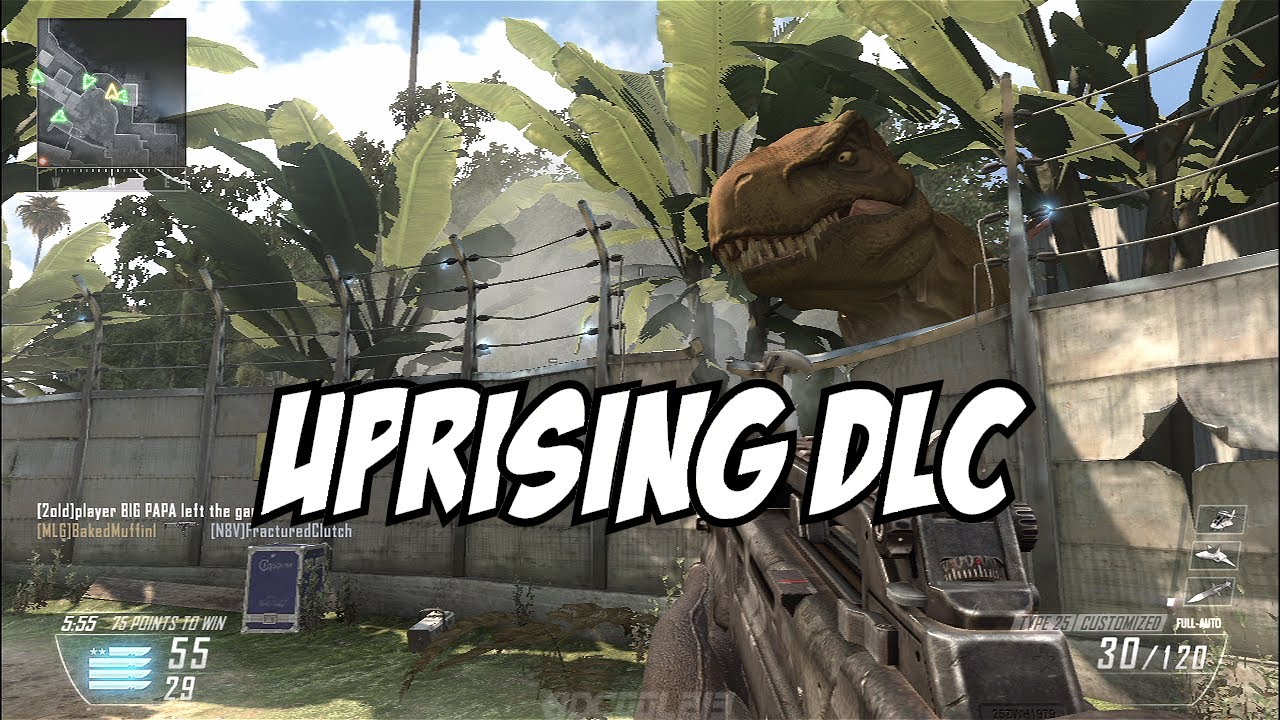Call of Duty: Black Ops 2 - Online Matches 4 (Uprising DLC)