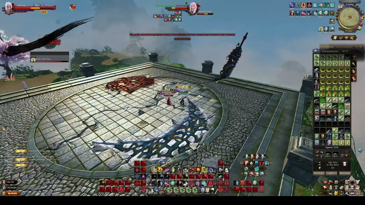 Sky Ladder Vs Stronk Fighter