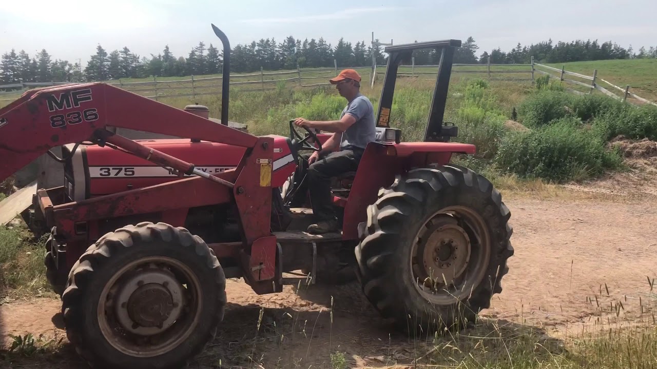 Massey Ferguson 375 Packing Hay