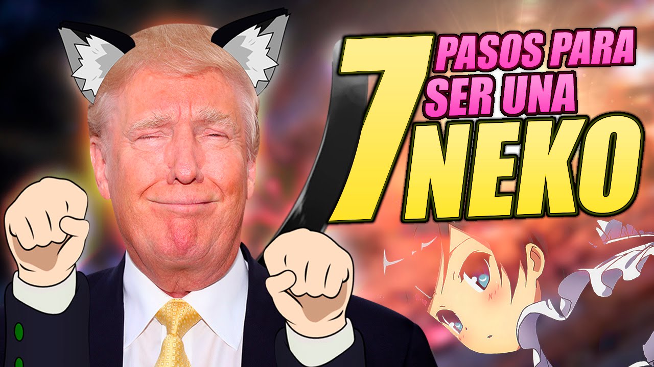 7 PASOS PARA SER UNA NEKO KAWAII