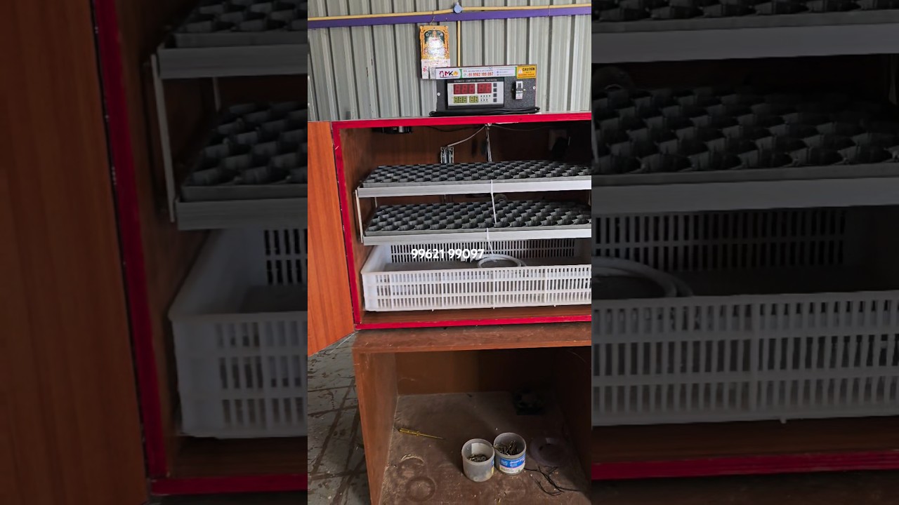 Best quality 200 fully automatic incubator #incubator #automaticincubator #miniincubator  #chicken