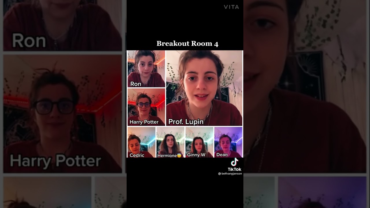 tiktok Harry Potter breakout room