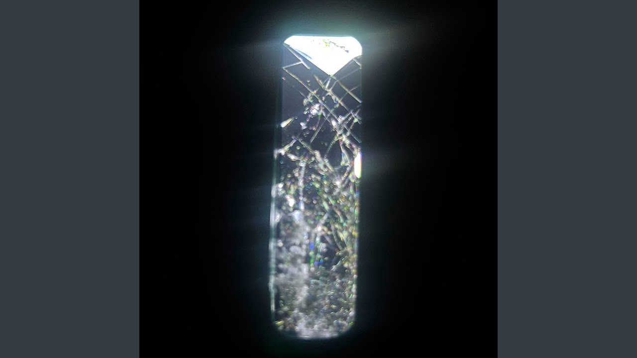 Reverse Earth Polarity