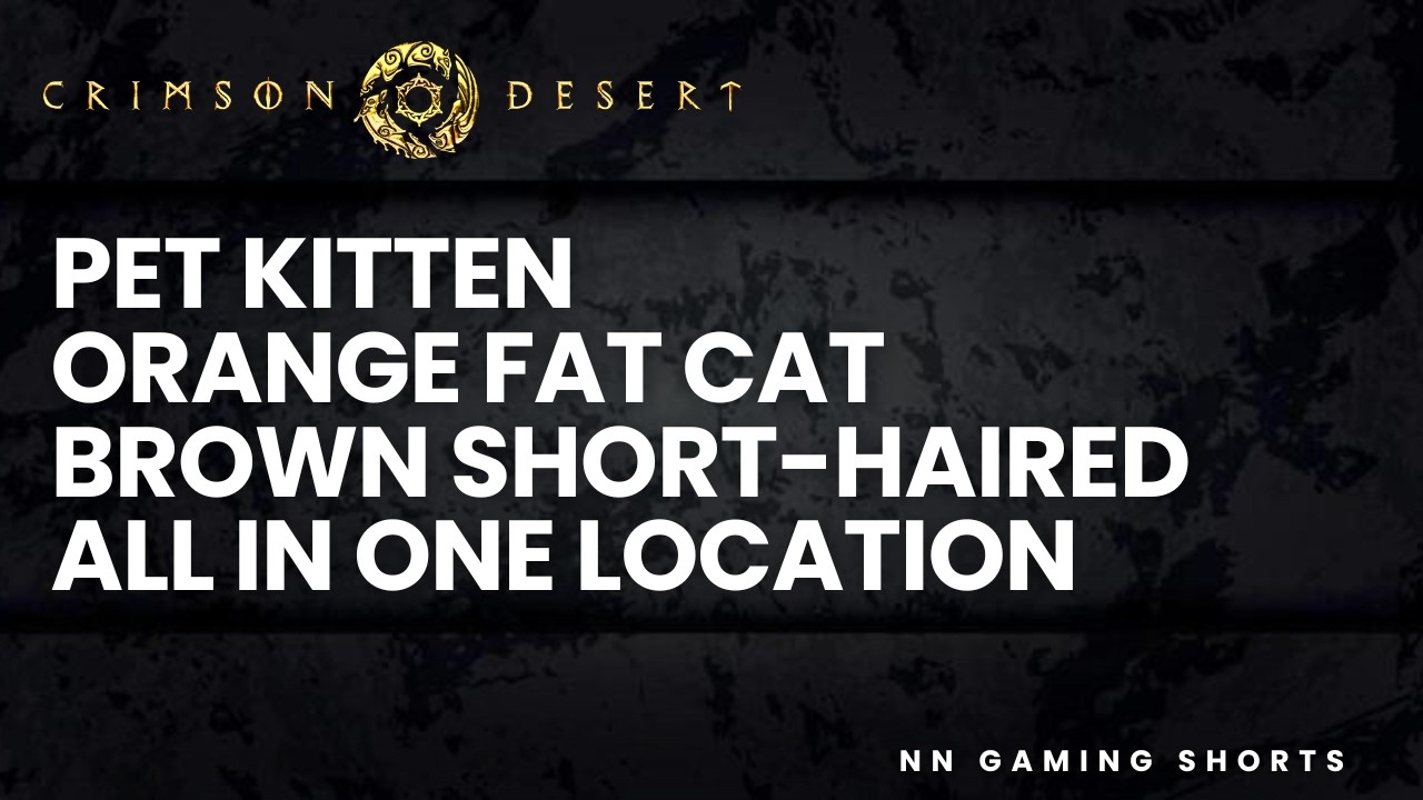 Crimson Desert: Pet Kitten, Orange Fat Cat and Brown Short Haired Cat - All In One Location