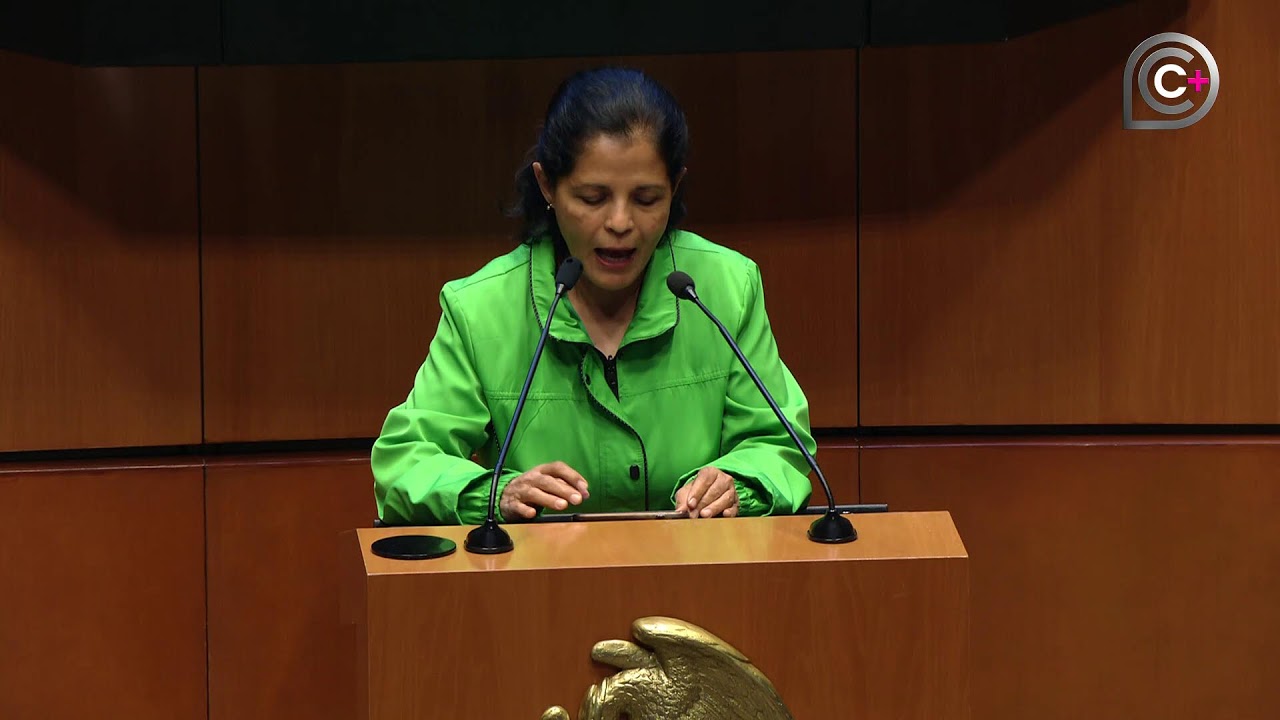 Sesi&oacute;n de la C&aacute;mara de Senadores, del 24 de marzo de 2026